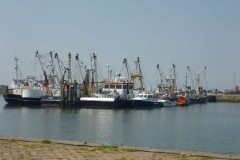 Hafen-2_1000x750-1